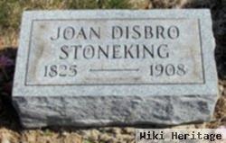 Johanna "joan" Disbrow Stoneking