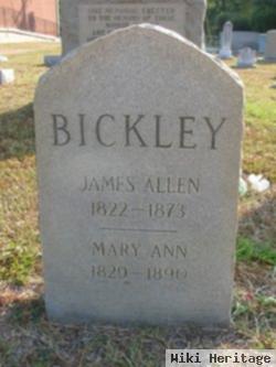 Mary Ann Wessinger Bickley