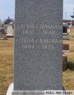 Elisha F. Bingham