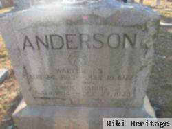 Walter S. Anderson