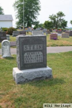 Henry F. Stein