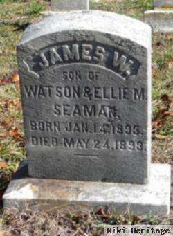 James W. Seaman