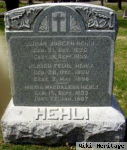 Johan Joseph Hehli