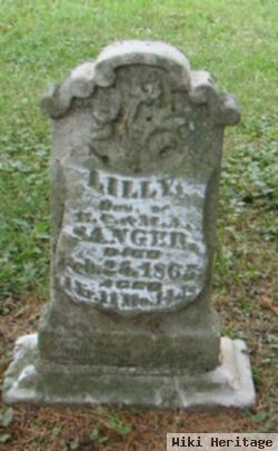 Lilly J Sanger