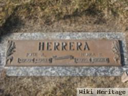 Jose A. Herrera