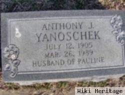 Anthony J Yanoschek