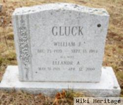 William J Gluck