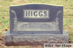 Ethel L Miller Higgs