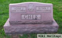 Susan P Chek