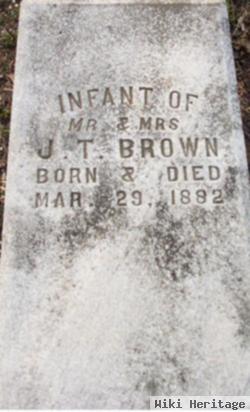 Infant Brown