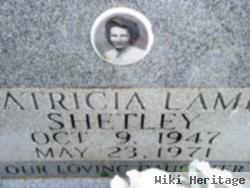 Patricia Lamb Shetley