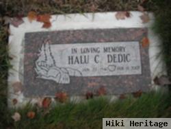 Halu C. Dedic