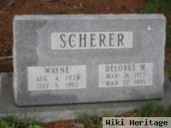 Wayne E Scherer