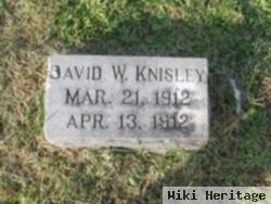 David W. Knisley