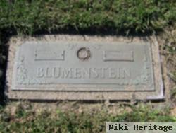 Ray Everett Blumenstein