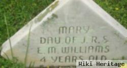 Mary Elizabeth Williams