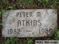 Peter Michael Atkins