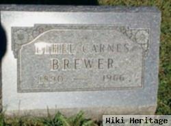 Ora Ethel Carnes Brewer