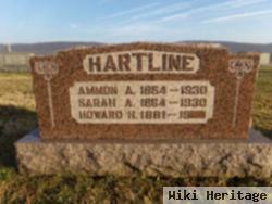 Howard D Hartline