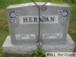 Barbara A Herman