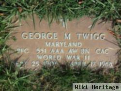 Pfc George Mcclellan Twigg