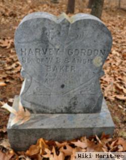 Harvey Gordon Baker