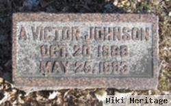 Axel Victor Johnson