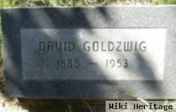 David Goldzwig