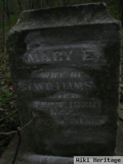 Mary Emma Pritchett Williams