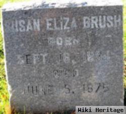 Susan Eliza Lamb Brush