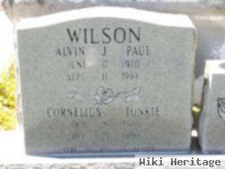 Alvin J. Paul Wilson