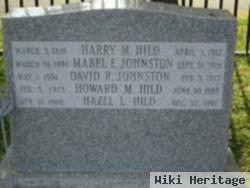 Harry Michel Hild