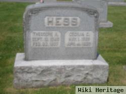 Theodore A. Hess