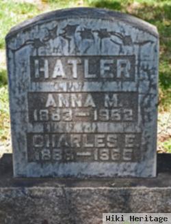 Anna M Hatler