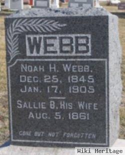 Noah H Webb