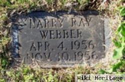 Larry Ray Webber