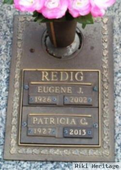 Patricia C Redig