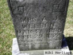 Nettie Saphronia Owens Weldon