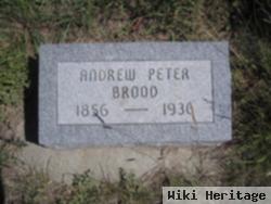 Andrew Peter Brood