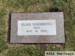 Elias Kronberg