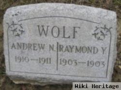 Raymond Y. Wolf