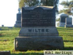 Mary E Wiltse