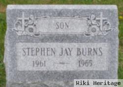 Stephen J Burns