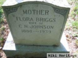 Flora Briggs Johnson