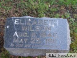 Elizabeth Cook Wilson