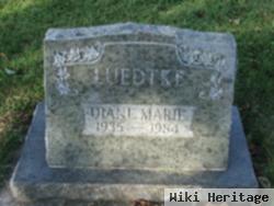 Diane M Luedtke