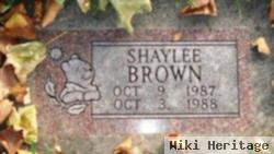 Shaylee Brown