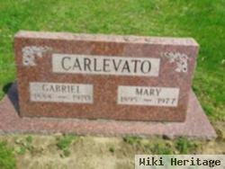 Mary Pistono Carlevato