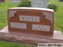 R D Mayes