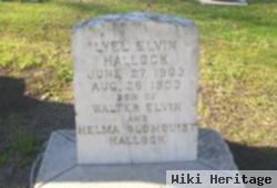 Lyel Elvin Hallock